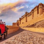 Rajasthan-Safari